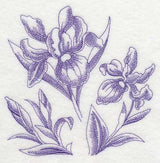 Iris Botanical (Toile)