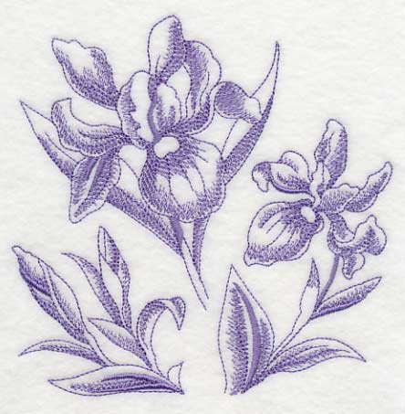 Iris Botanical (Toile)