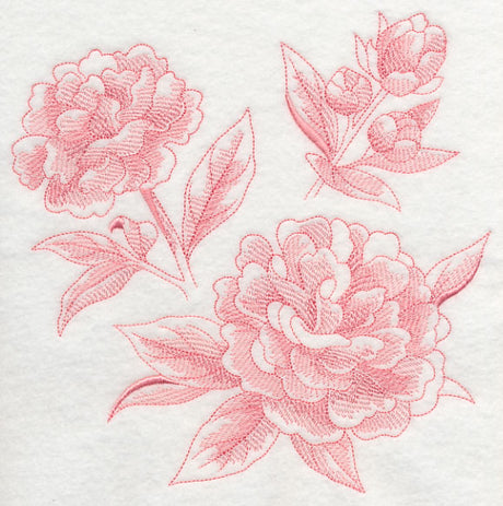 Peony Botanical (Toile)