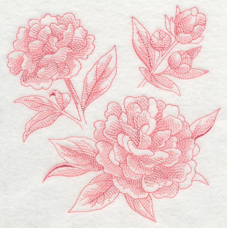 Peony Botanical (Toile)