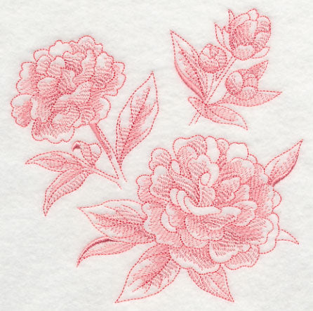 Peony Botanical (Toile)