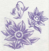 Clematis Botanical (Toile)