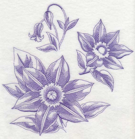 Clematis Botanical (Toile)