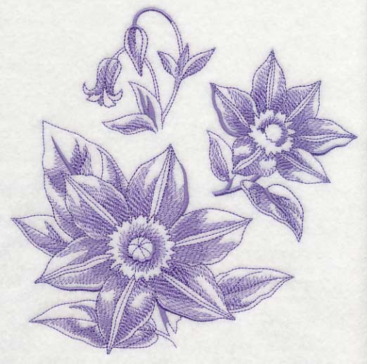 Clematis Botanical (Toile)
