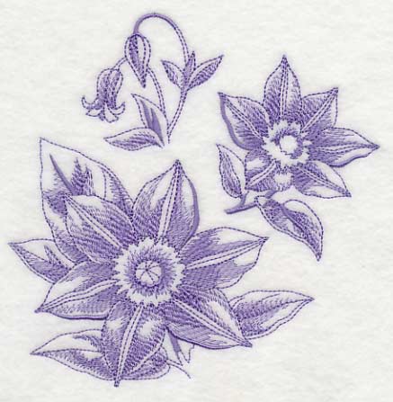 Clematis Botanical (Toile)