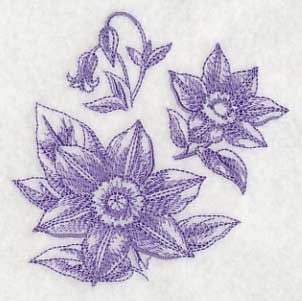 Clematis Botanical (Toile)