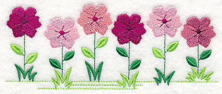 Country Charm Border - Impatiens