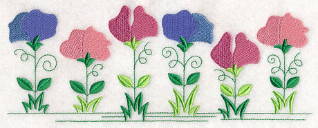 Country Charm Border - Sweet Pea