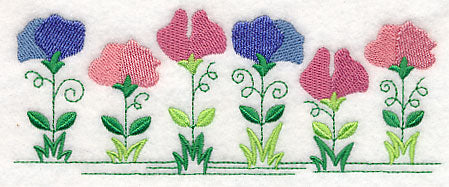 Country Charm Border - Sweet Pea