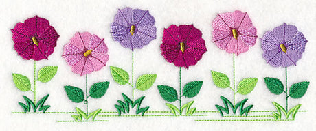 Country Charm Border - Petunia