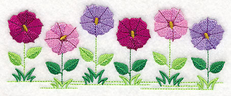 Country Charm Border - Petunia