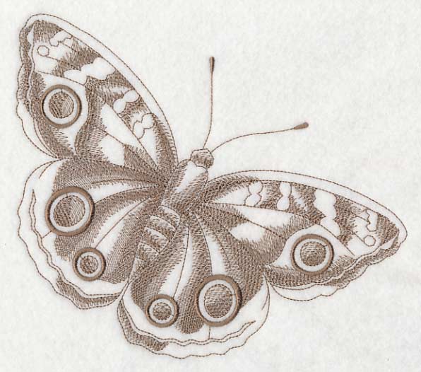 Buckeye Butterfly (Toile)