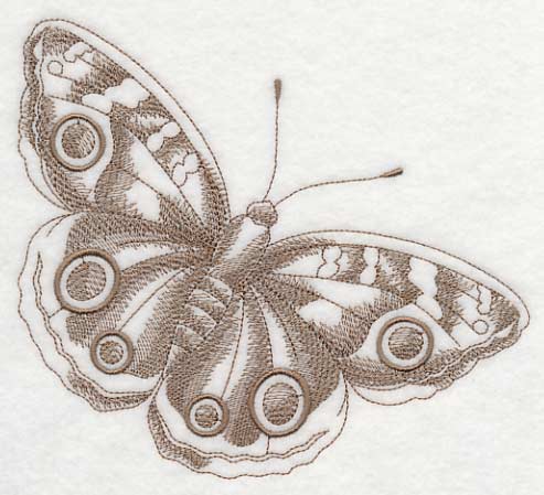 Buckeye Butterfly (Toile)