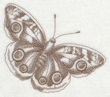 Buckeye Butterfly (Toile)