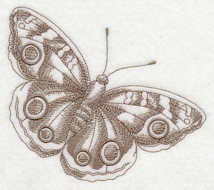 Buckeye Butterfly (Toile)