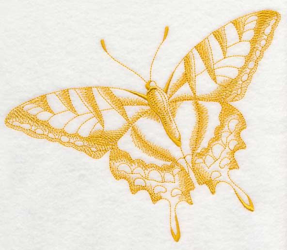 Tiger Swallowtail Butterfly (Toile)