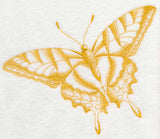 Tiger Swallowtail Butterfly (Toile)