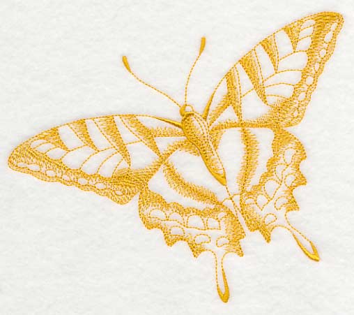 Tiger Swallowtail Butterfly (Toile)