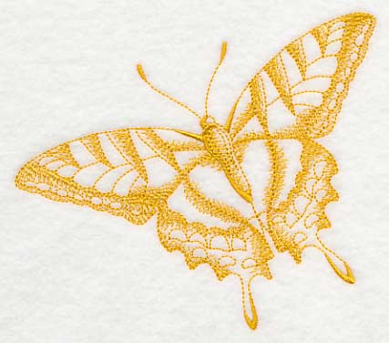 Tiger Swallowtail Butterfly (Toile)