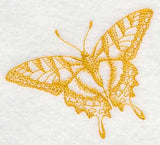 Tiger Swallowtail Butterfly (Toile)