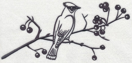 Simply Birds on Branches - Cedar Waxwing