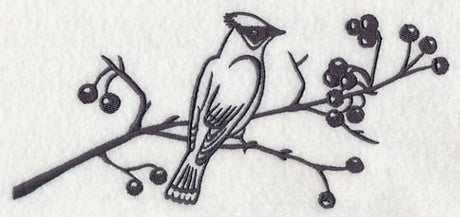 Simply Birds on Branches - Cedar Waxwing