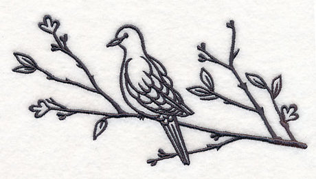 Simply Birds on Branches - Mourning Dove
