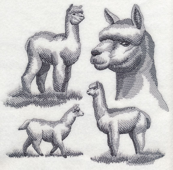 Alpaca Sketch