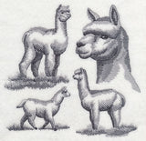 Alpaca Sketch
