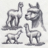 Alpaca Sketch