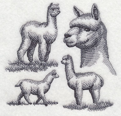 Alpaca Sketch