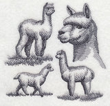 Alpaca Sketch