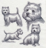 West Highland Terrier Sketch