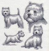 West Highland Terrier Sketch