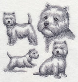West Highland Terrier Sketch