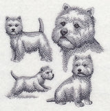 West Highland Terrier Sketch