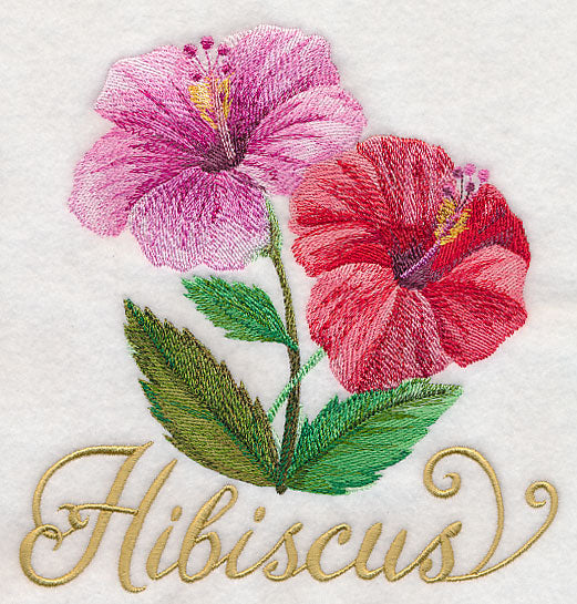 Hibiscus in Watercolor