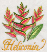 Heliconia in Watercolor