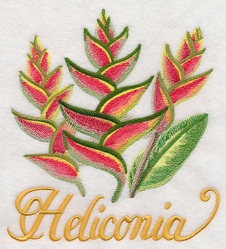 Heliconia in Watercolor