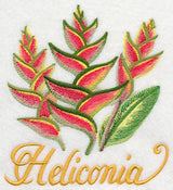 Heliconia in Watercolor