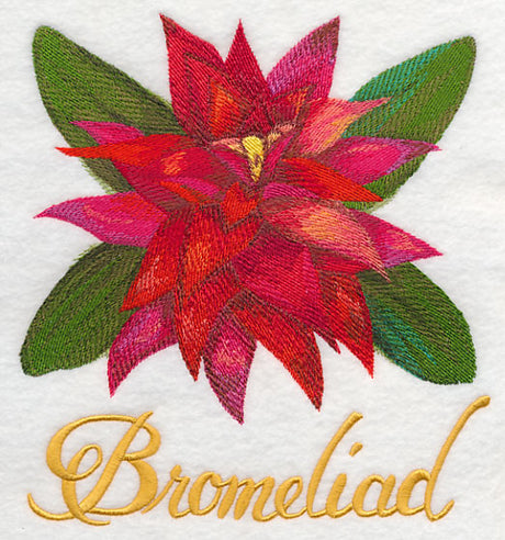 Bromeliad in Watercolor