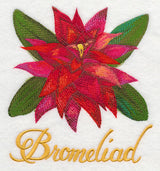 Bromeliad in Watercolor