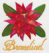 Bromeliad in Watercolor