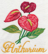 Anthurium in Watercolor