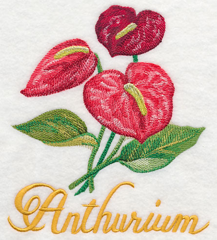 Anthurium in Watercolor