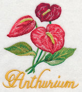 Anthurium in Watercolor