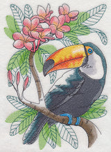 Tropical Toucan Sketch
