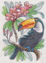 Tropical Toucan Sketch