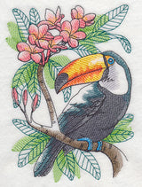 Tropical Toucan Sketch