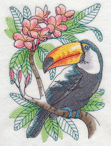 Tropical Toucan Sketch
